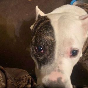 Meet your Posher, Rayray